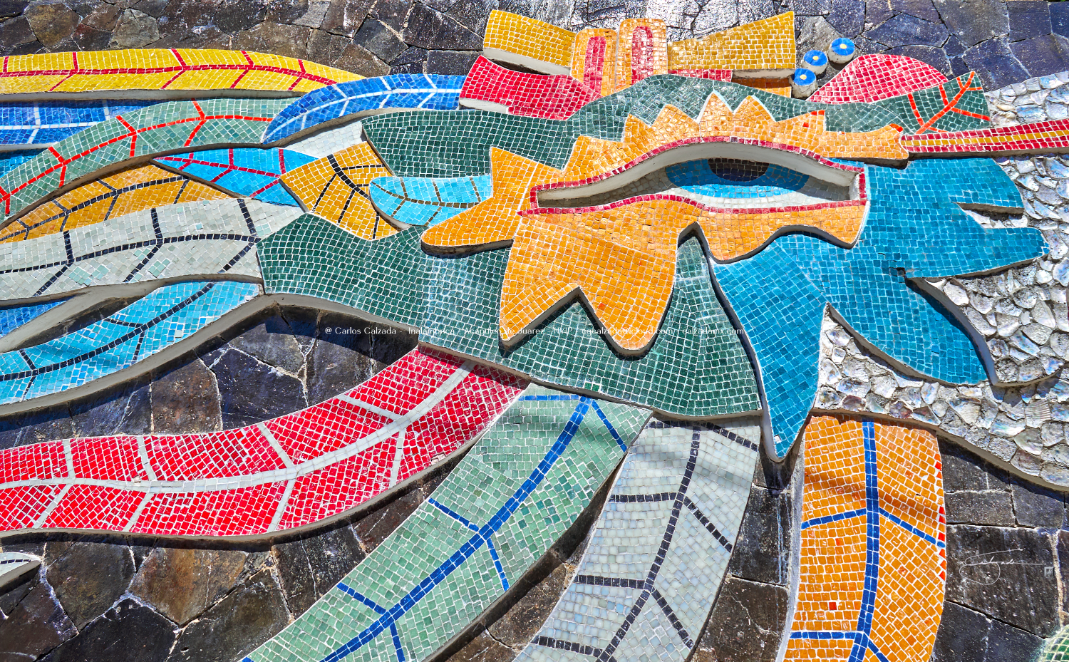 Diego Rivera - DSC02808 - ene 15 2025.png